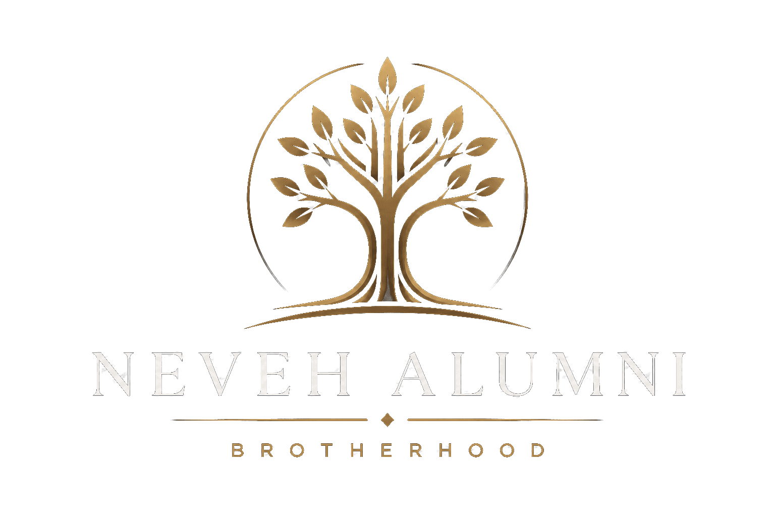 Neveh Alumni Brotherhood
